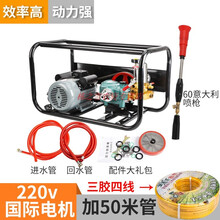 220V伏电动打药机喷雾器高压农药机大功率农用喷药器新式园林果树 2.2KW打药机+50米管