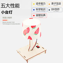 小学生自制科技小制作发明儿童diy玩具手工制作stem科学实验套装 小台灯