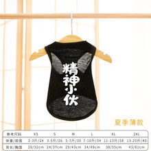 InnoPet小狗狗衣服夏季薄款泰迪猫咪博美比熊小型犬幼犬宠物无袖背心 「夏」精神小伙黑色背心 5号XL(建议10-14斤背长39胸围50)