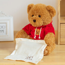 儿童玩具捉迷藏小熊电动毛绒仿真可爱公仔会唱歌的男女孩生日礼物 红色捉迷藏小熊 充电版（唱歌/故事/古诗/学英语）