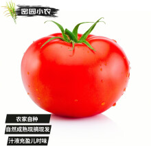 密园小农 西红柿 沙瓤农家种植普罗旺斯西红柿生吃番茄水果现摘现发柿子 约1kg