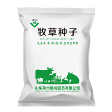 美外 牧草种子 四季收割  甜高粱抗旱高产畜牧养殖 高丹草1斤