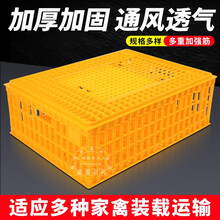 成鸡周转箱加强型特大运输笼塑料鸡鸭鹅鸽子笼鸡用运输筐鸡笼子 超大号笼子14斤 货号齐全