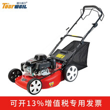 道什威尔 草坪机自营GXV160本田动力20寸大马力物业操场高尔夫球场除草机手推自走式四冲汽油割草机 本田自走式草坪机【有集草箱】