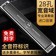 （顺丰发货）天鹅口琴28孔复音重音C调口琴高级成人初学者学生男女专业演奏进口音簧乐器定制礼物 刻字 28孔高级演奏款复音C调黑色【音标款】+全套礼包