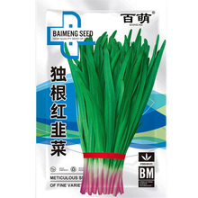 百萌（BAI MENG）雪韭王韭菜种子 791韭菜种籽根红紫根宽叶不休眠高产蔬菜种籽多年生蔬菜种孑 紫根韭菜种子 10克  厂商封装
