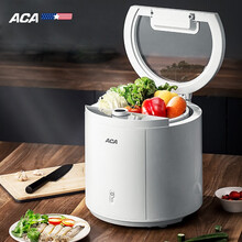 北美电器（ACA）洗菜机水果蔬菜农残清洗机家用肉类消毒解毒全自动食材净化机AP-FV60A