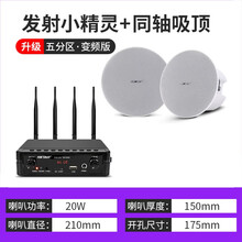 先科（SAST）无线蓝牙吸顶音响壁挂壁喇叭家用天花吊顶套装嵌入式室内店铺餐厅吊球背景音乐家用音箱分区 发射器+同轴高低音吸顶 音响数量（1）