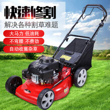 草坪机18寸20寸22寸四冲程汽油手推式自走割草机除草机打草剪推草机草坪修理机器 雅马哈MA190动力22寸手推