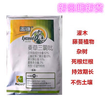 草忧愁  盖镰 62%麦草三氯吡 除竹剂烂根高效强力灭竹药毛竹杂竹净杀竹子杀大树开荒除草剂除树剂甘 整箱100袋 80克/袋