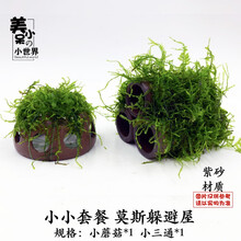 虾洞莫斯虾窝水族孵化罐小鱼躲避洞水晶虾躲避屋散莫斯造景水草泥 小小套餐