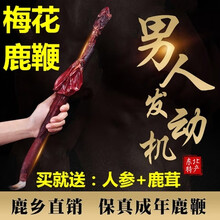 梅花鹿鞭干整根整枝新鲜鹿茸鹿尾巴鹿筋吉林双阳鹿鞭膏男用男性滋补泡酒药片泡酒料 鹿鞭整根