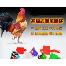 鸭脚环/鹅脚环/激光打字定制/扣式鸡/鸭/鹅编码脚环/畜牧用品 2.0蓝色100个