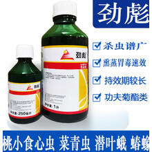 先正达劲彪高效氯氟氰菊酯茶小绿叶蝉食心虫菜青虫进口农药杀虫剂 250ml