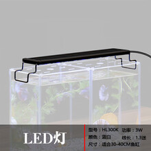 中鑫 8016水族泰国斗鱼缸超白玻璃鱼缸生态斗鱼缸桌面排缸创意斗鱼杯 LED灯HL300K