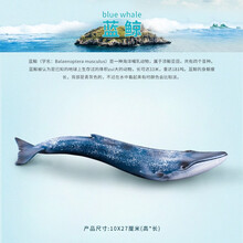 仿真海洋动物模型玩具 北极熊大白鲨鱼海龟企鹅蓝鲸鲨抹香鲸虎鲨儿童玩具 蓝鲸