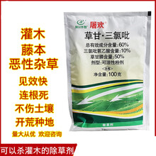 屠欢60%草甘·三氯吡非耕地小飞蓬灌木笔管草构树阔叶杂草络石藤果园荒地顽固性杂草杂树灌木开荒除草剂 屠欢60%草甘·三氯吡100g/10袋