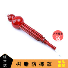 防摔儿童小学生初学生入门葫芦丝乐器c调降b调自学成人演奏型 bB树脂B款【防摔】单品低配