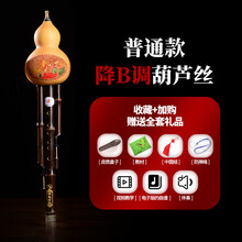 葫芦丝乐器初学者学生入门自学 普通款 降B调葫芦丝