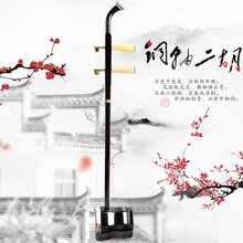 道韵二胡初学入门演奏二胡乐器成人儿童专业考级通用大音量二胡琴 【普通款】刻花铜轴二胡 标准礼包
