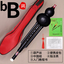 葫芦丝演奏型云南乐器树脂防摔成人小学生初学者c调降b 降b+便携皮包+入门资料