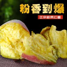 正宗板栗红薯新鲜番薯地瓜红薯蜜薯新鲜黄心红薯2斤2020现挖 10斤中装【净重9斤多】