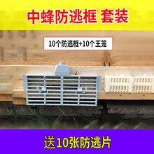 中蜂防逃框套装防逃片多功能蜂王隔王片蜂具大全养蜂专用工具蜜蜂蜂箱 防逃框套装