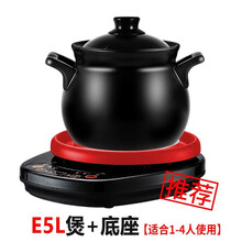 全自动电炖锅2-3人煲汤锅奇家宝宝煮粥神器电砂锅定制陶瓷家用 煲汤煮粥养生煲定时预约可耐热预售 E5L煲+底座