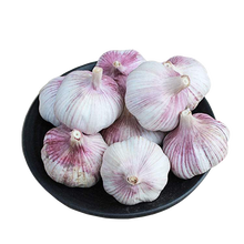 【坏果包赔】大蒜干蒜10斤大蒜头紫白皮蒜大个头批发 精品干蒜5斤装