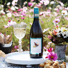 超市	意大利原瓶进口犀牛庄诗培纳莫斯卡托阿斯蒂低醇甜白葡萄酒微起泡小鸟酒 750ml