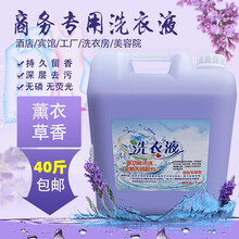 浓缩洗衣液大桶装40斤家用酒店宾馆专用持久留香浓缩20kg大瓶商用 普通紫色薰衣草味+(抽管)