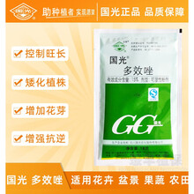 芭瑟曼薇 国光多效唑 小麦芒果荔枝柑橘多肉控旺控徒长 促花芽矮化剂矮壮素 40g