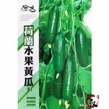 花友秀 黄瓜种子 水果黄瓜 摘不败翠绿黄瓜种子新津研四号黄瓜 菜籽 绿色蔬菜种子 家庭园艺 易种 荷兰水果黄瓜种子原装
