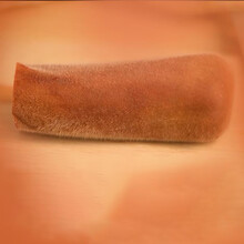 鲜鹿茸整枝含血头茬二杠吉林产地整只鹿茸梅花鹿茸 整枝鲜鹿茸200克