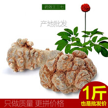 康中尊 正宗云南文山春三七30头20头特级田七500克1斤装可磨三七粉片 半斤30头15个