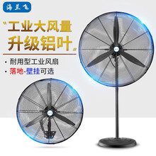 海兰飞(HLF)工业风扇落地扇壁扇壁挂式大功率强力电风扇工厂大风量牛角扇电扇大风力吹甲醛除挂墙式墙壁 落地扇650【网罩直径70CM】