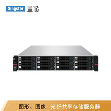 星储SS310G-12R图形图像存储服务器 测绘、地理、遥感、卫星数据光纤共享磁盘阵列 标配（双万兆，冗余电源） 12块10T原厂匹配SAS硬盘（不含主机）