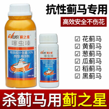蓟马杀虫剂高效蓟马专用药豆角草莓茄子蔬菜蓟马绝杀抗性蓟马农药 200g