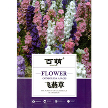 百萌（BAI MENG）飞燕草花种子春播庭院室外四季种易活花种籽阳台盆栽景观绿化耐寒花卉种子绿化种子 矮杆飞燕草种子重瓣型 2克约800粒 厂商封装