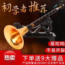 初学者唢呐乐器成人大小号 乌木小F调白碗+8大