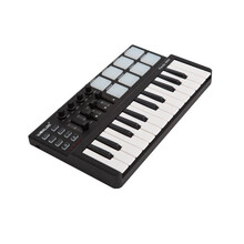 midi键盘 worlde-PANDAmini25键midi键盘打击垫音乐编曲键盘电音迷笛控制器 PANDAMINI黑色标准版