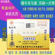 马头牌用药痢疾停 泻痢一片停 磺胺脒片猪牛羊中毒性肠炎顽固性腹