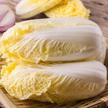 寿禾 高山娃娃菜种子黄金白菜种高产家庭夏季秋当季种植蔬菜种籽阳台庭院大田疏小白菜蔬莱种孑菜籽菜仔 寿禾皇欣娃娃菜种子 10g原装