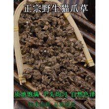 猫爪草 野生新鲜中药猫抓草 淋巴水洗煲汤 500g克定制