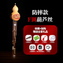 葫芦丝乐器初学者学生入门自学 防摔型 F调葫芦丝