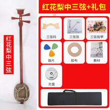 紫檀小三弦民族弹拨乐器演奏用琴红花梨三弦 9 红花梨中三弦