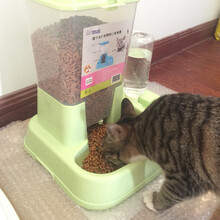 猫碗猫食盆双碗自动饮水喂食器猫盆猫咪用品狗粮狗碗猫饭盆猫粮盘 自动喂食器【绿色】