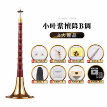 新艺乐器 唢呐乐器 初学者全套科檀小叶紫檀唢呐ABCDEFG调喇叭 小叶紫檀降B调+八大赠品