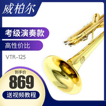 VIBRA威柏尔小号乐器 降B调成人小号铜管乐学生初学考级演奏级管乐队VTR-125 125初学考级款