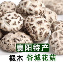 谷山香1斤 香菇干货 当季新货 襄阳谷城特产 菇肉厚菌香味足 深山干货 1斤礼盒装